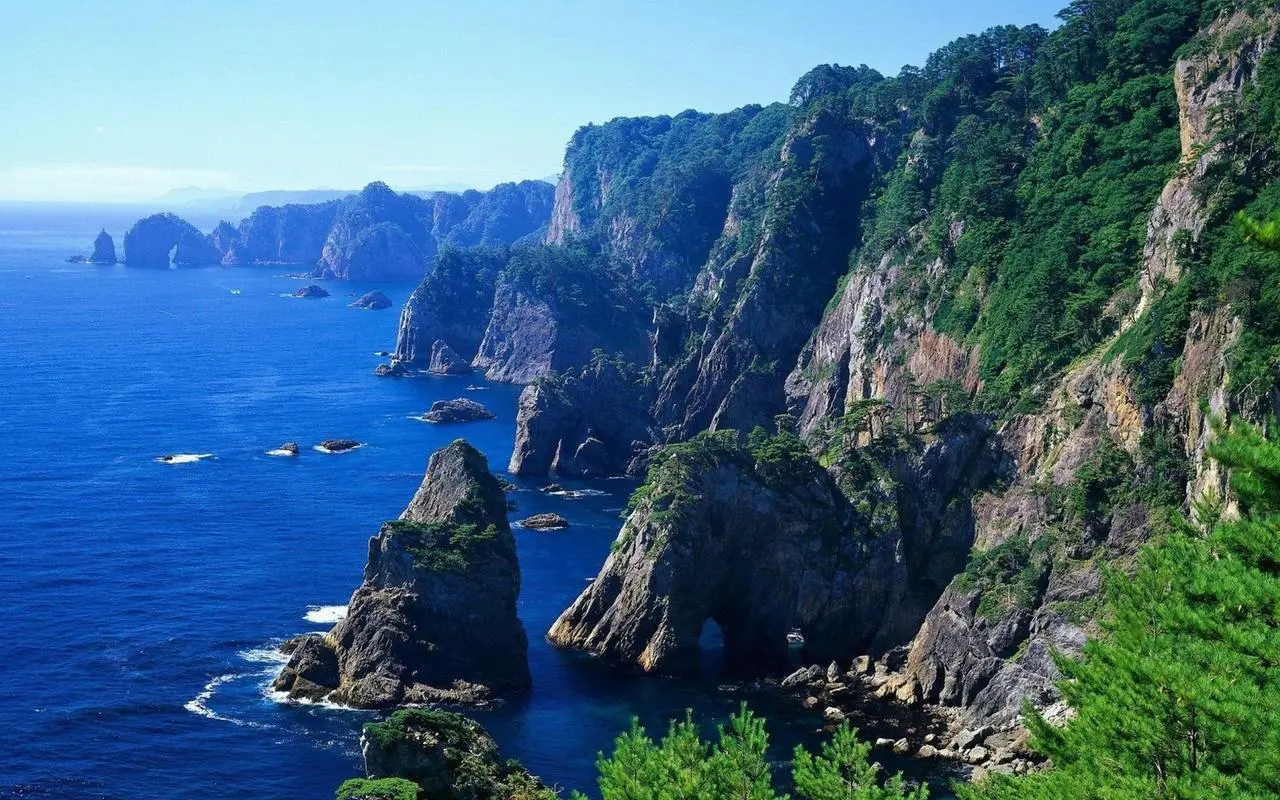 高端自动化环保